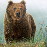 bear